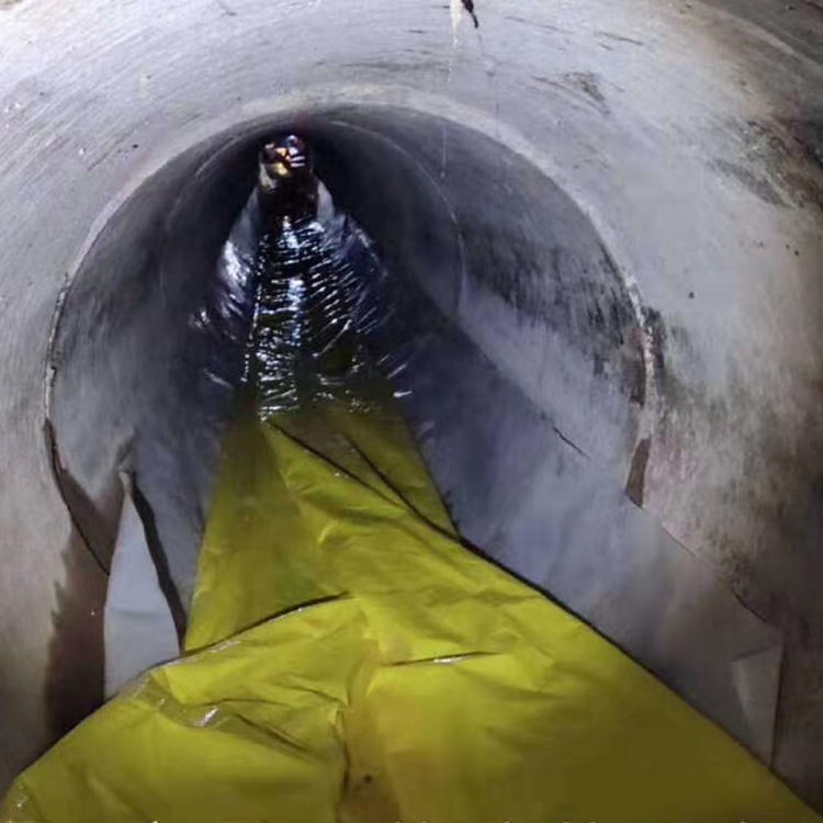 陇南管道光固化修复